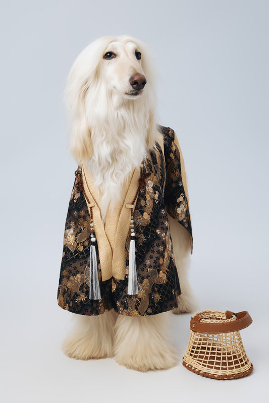 Tokugawa – Shogun Series