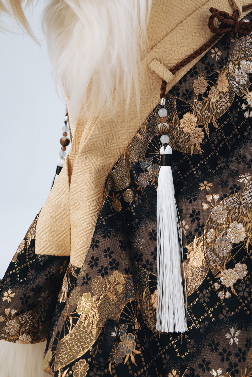 Tokugawa – Shogun Series