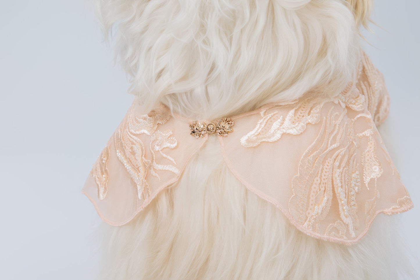 Blush Petal