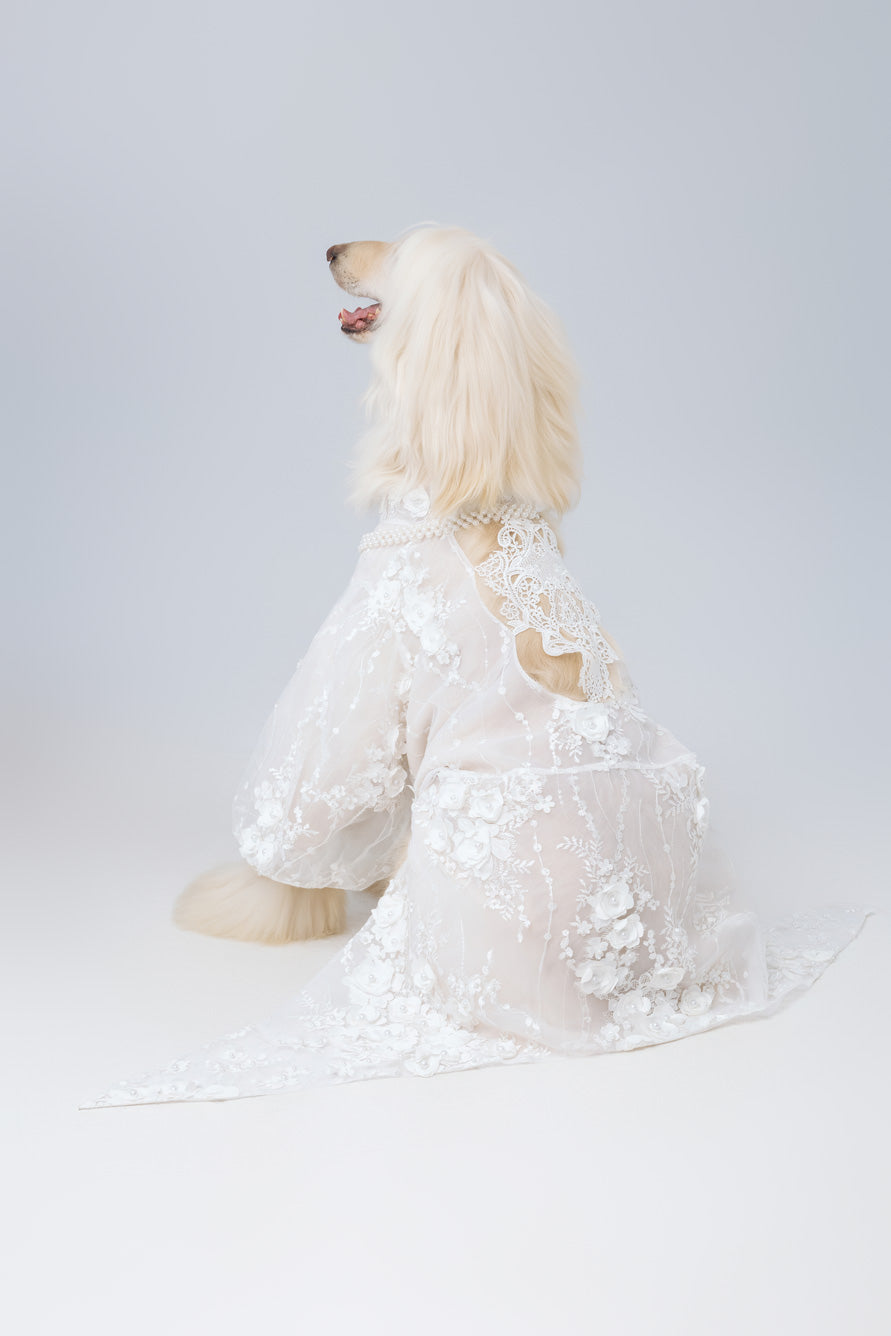 Marie Antoinette