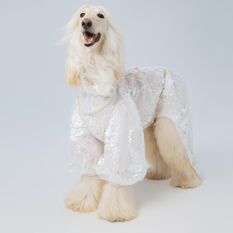 Marie Antoinette