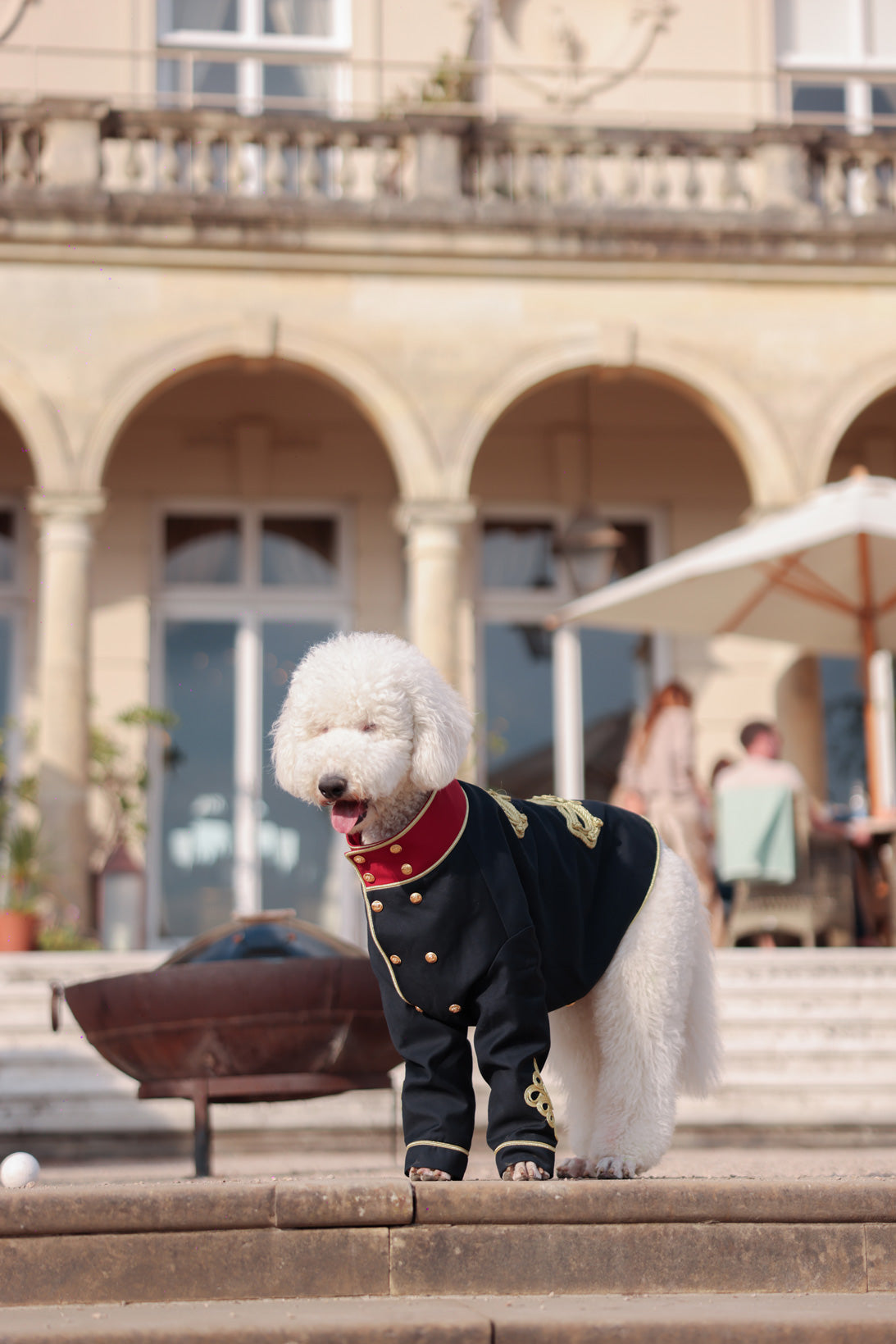 Pompom Hussar