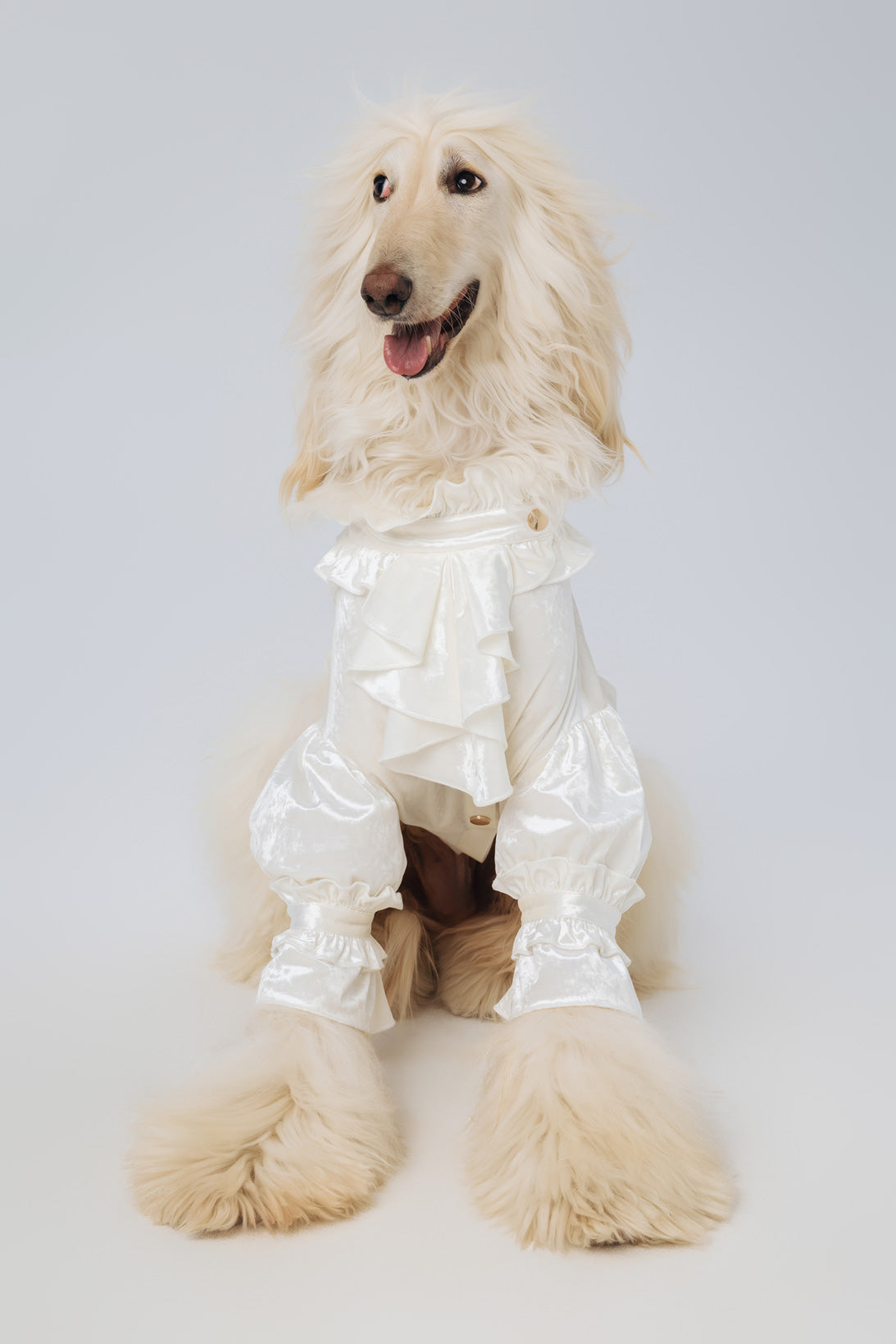 La Duchesse Blanc