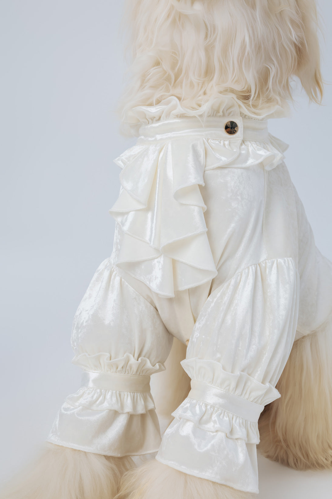 La Duchesse Blanc