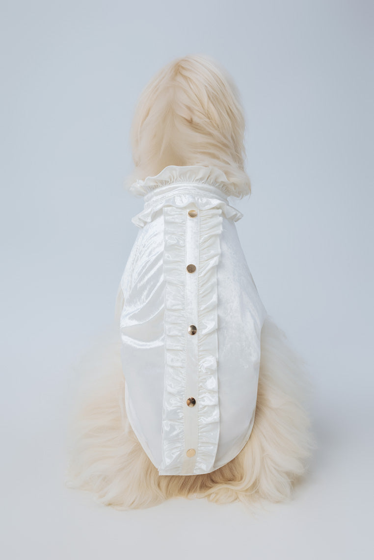 La Duchesse Blanc