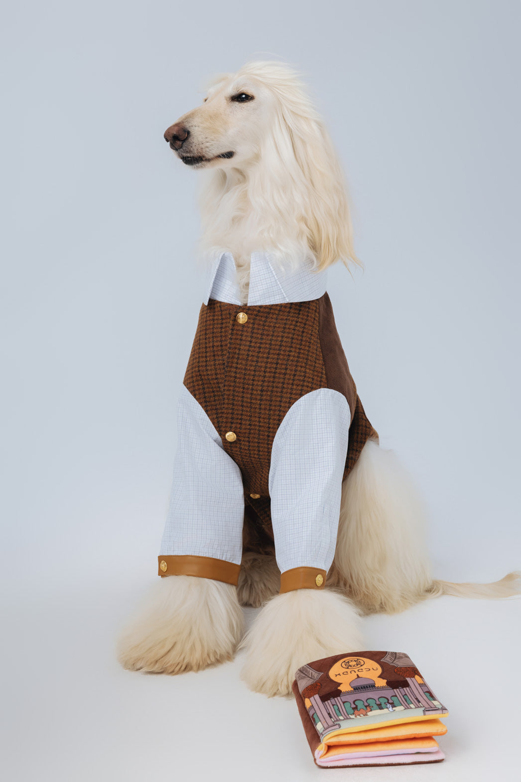 Lord Chestnut
