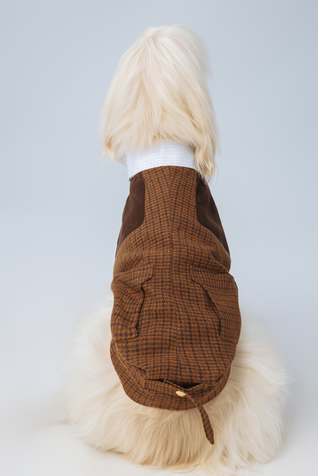 Lord Chestnut