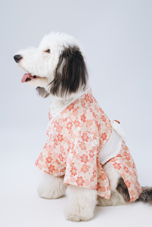 Hanami – Mio