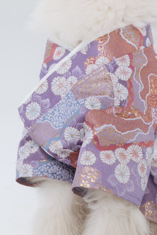 Hanami – Tomoyo