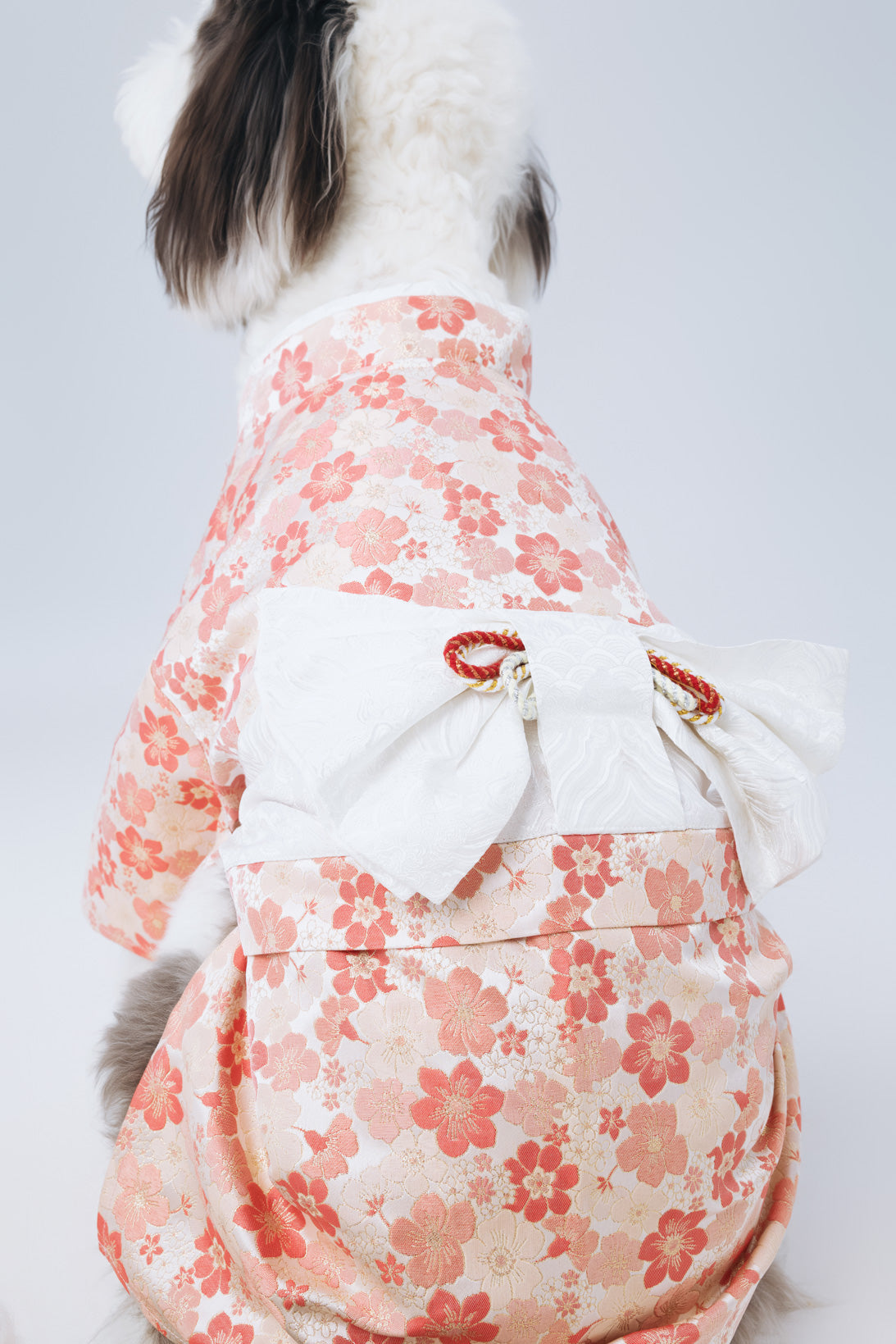 Hanami – Mio