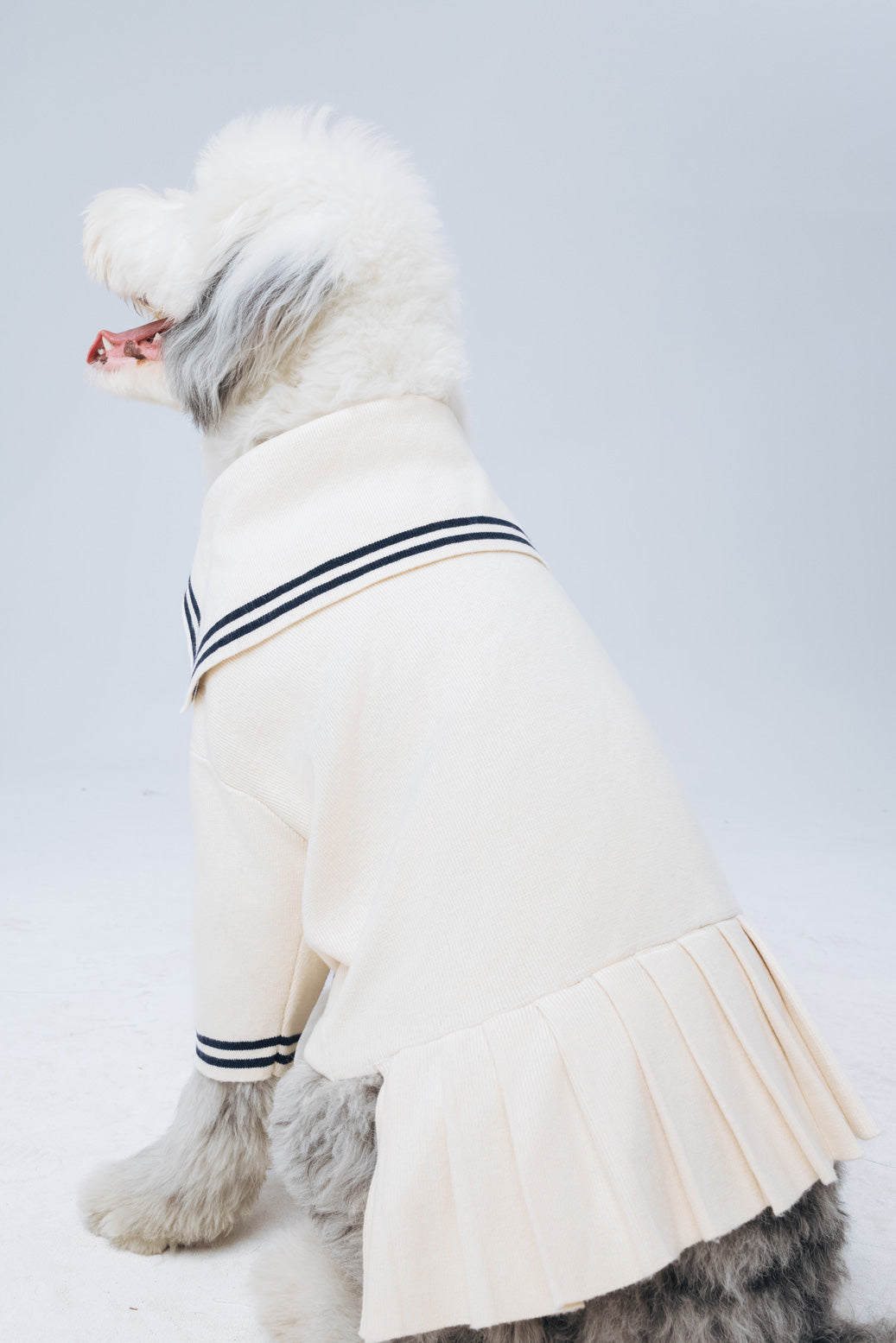 Cream Sailor