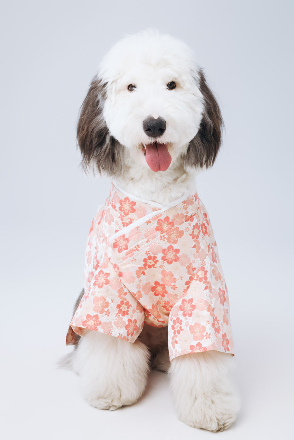 Hanami – Mio
