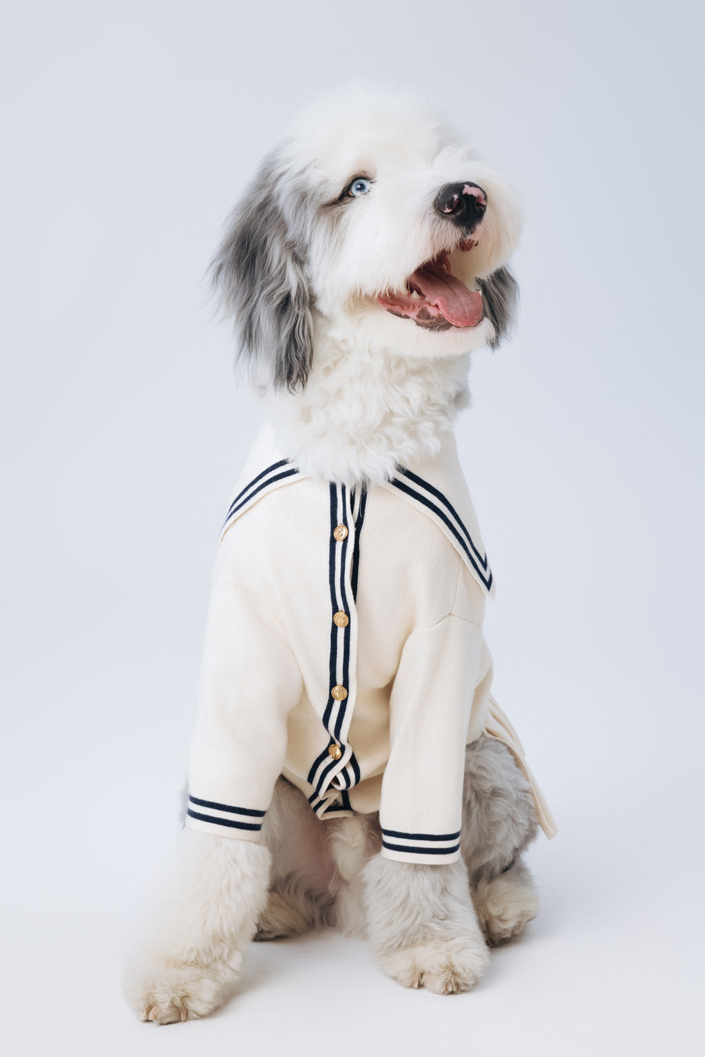 Cream Sailor