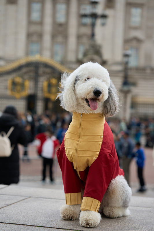 Royal Woofers