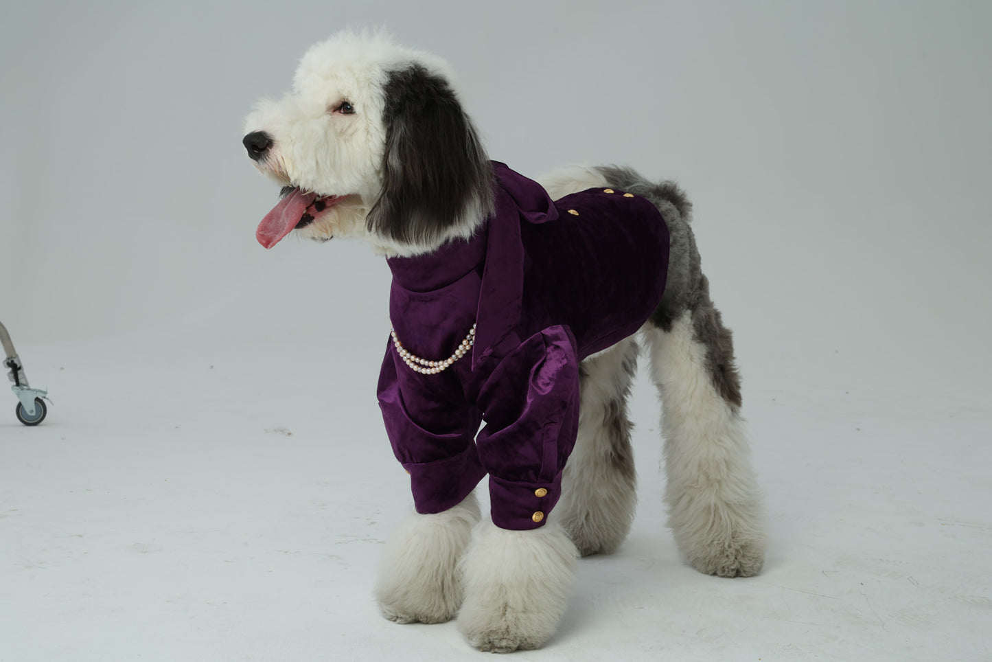 Duchess Aurelia