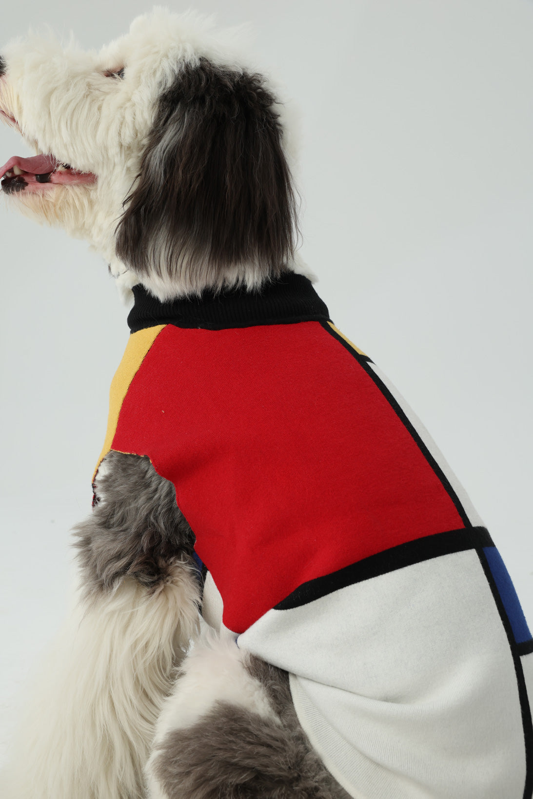 Mondrian