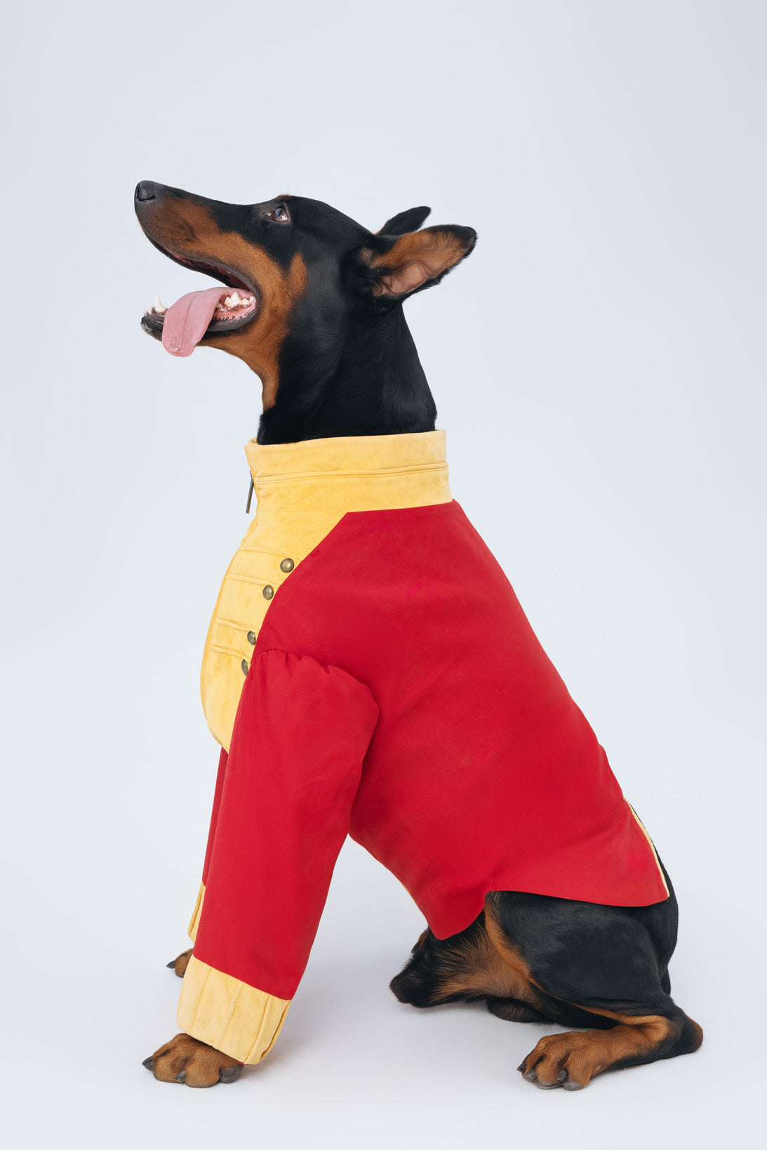 Royal Woofers
