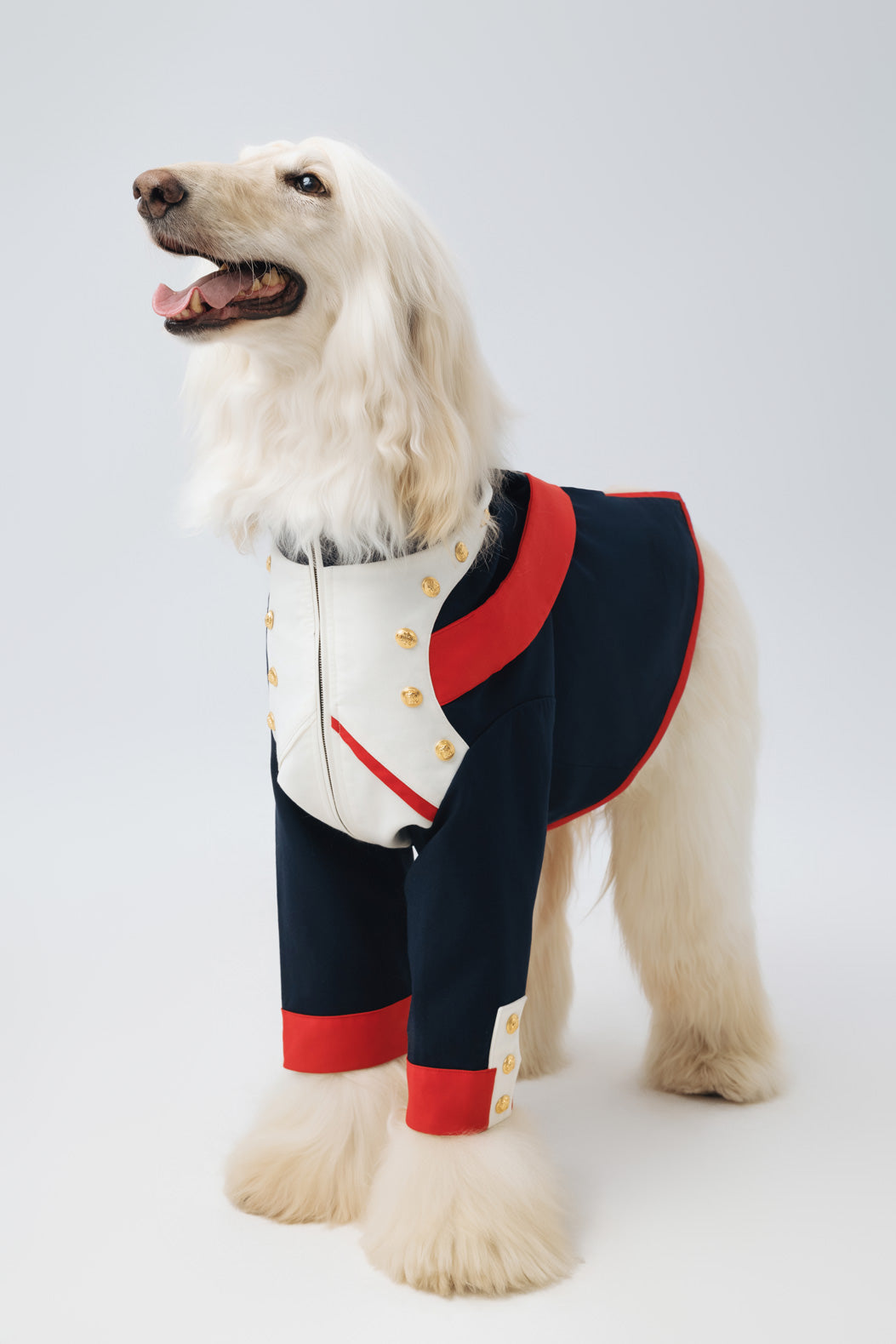 Marshal Woof