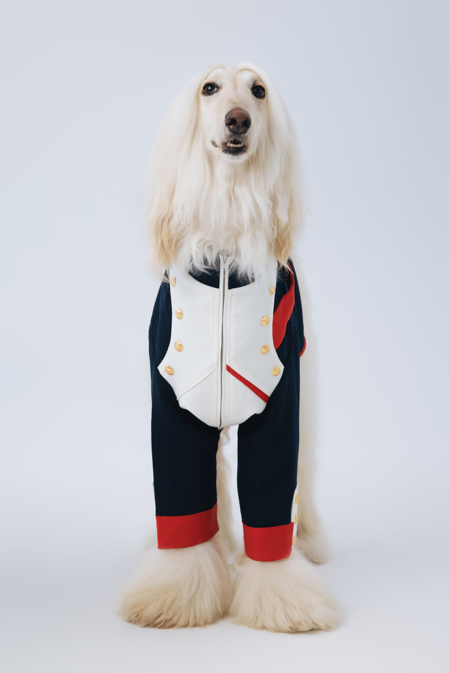 Marshal Woof
