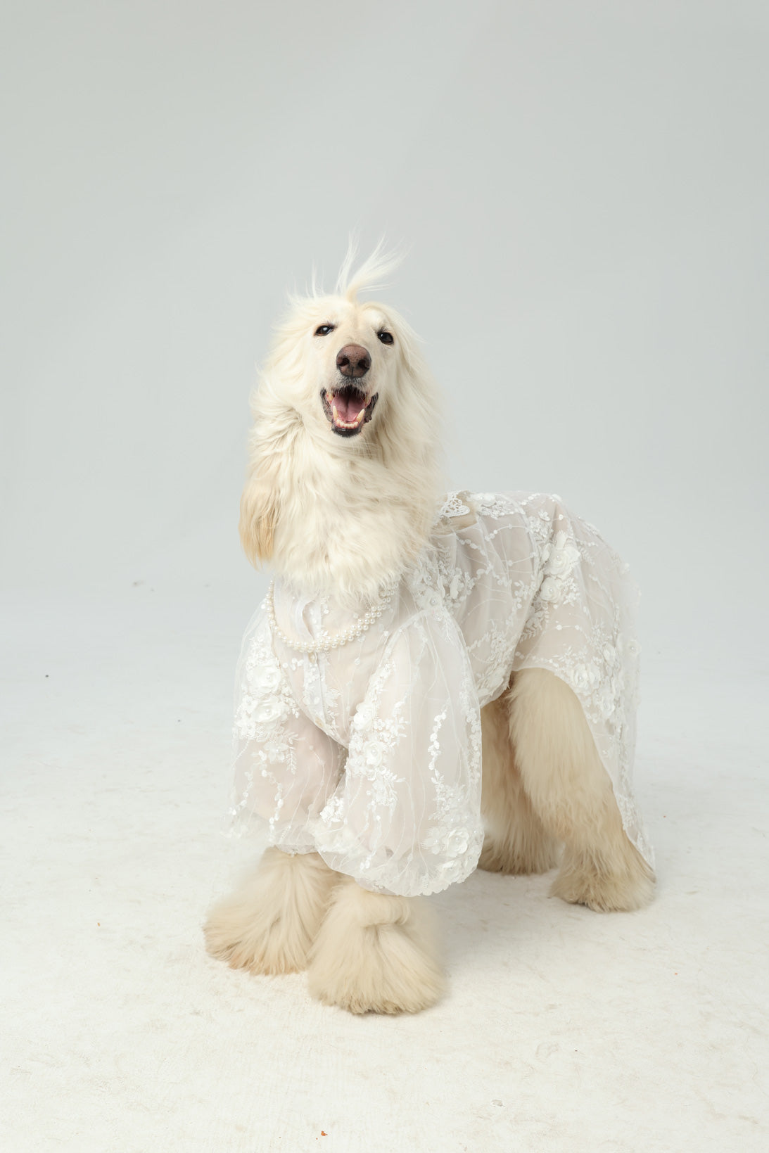 Marie Antoinette