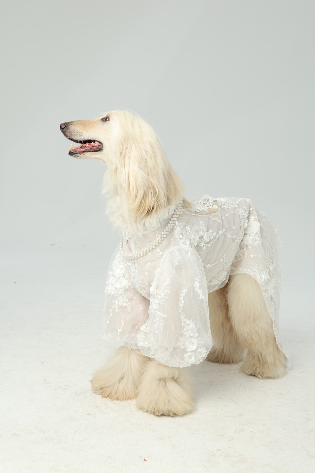Marie Antoinette