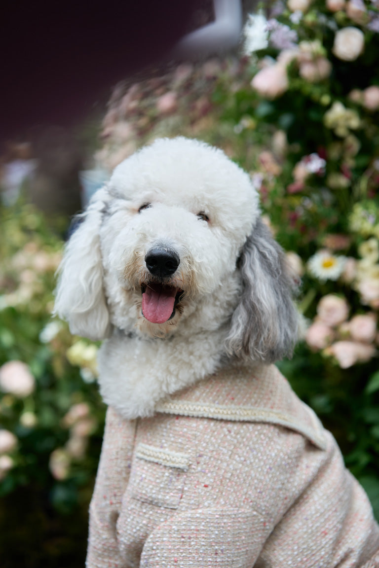 Pétale Tweed