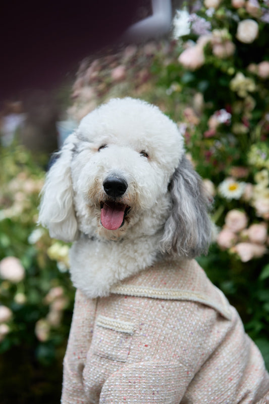 Pétale Tweed