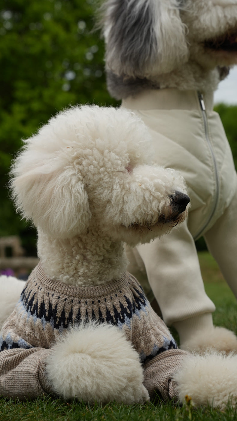 Pétale Tweed