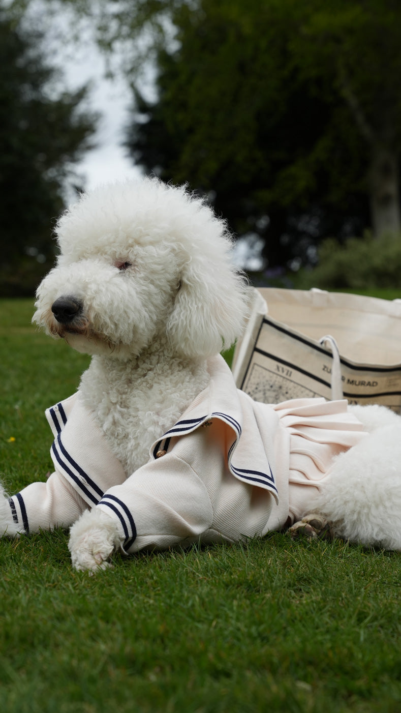 Cream Sailor