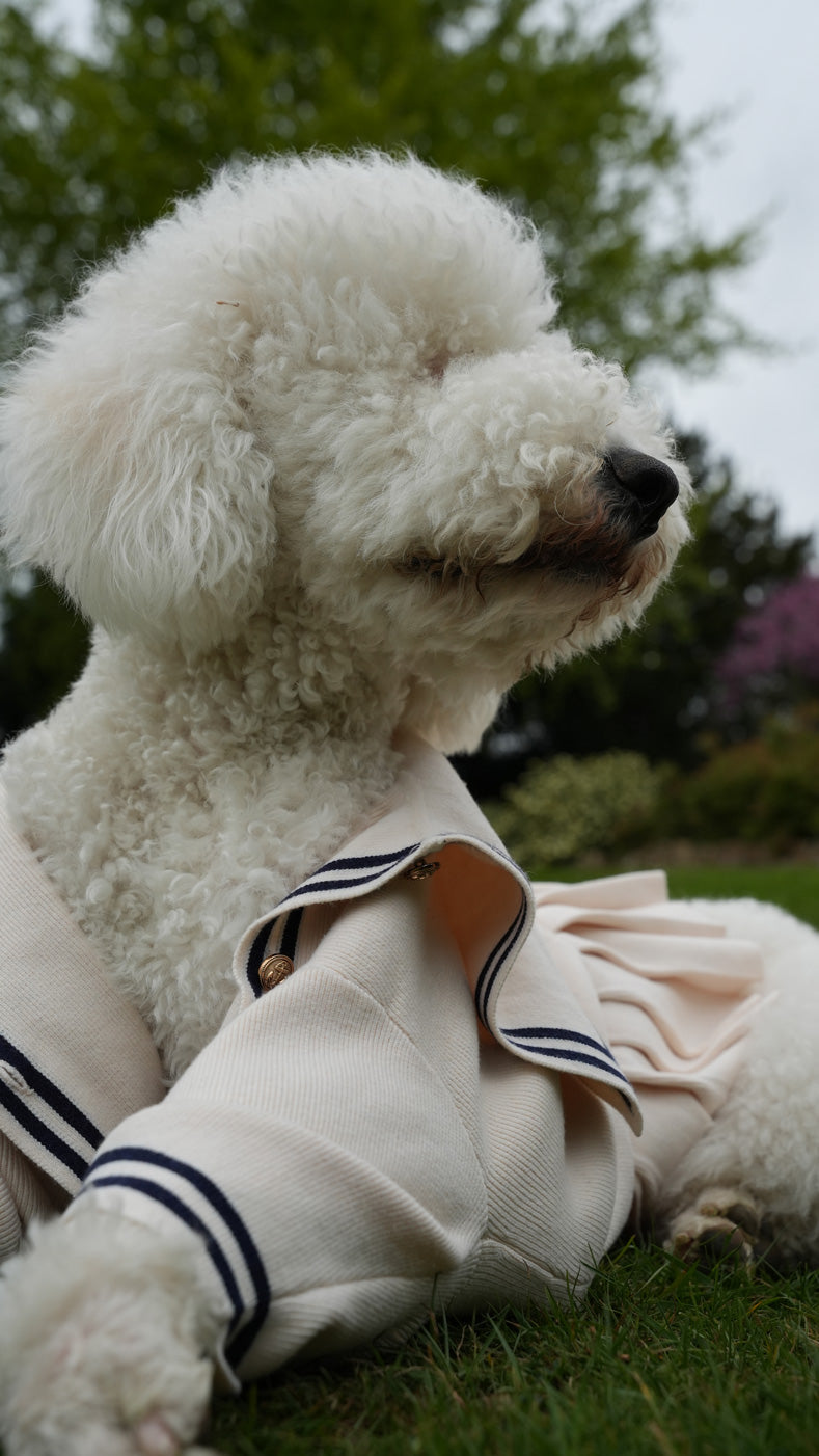 Cream Sailor