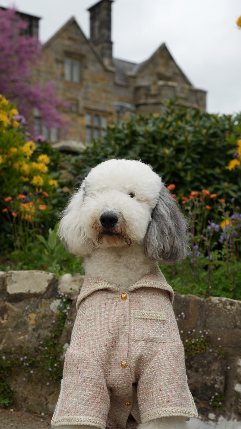 Pétale Tweed