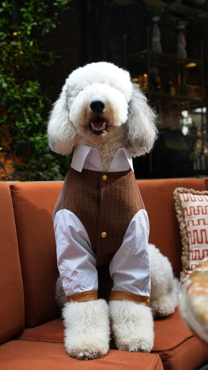 Lord Chestnut
