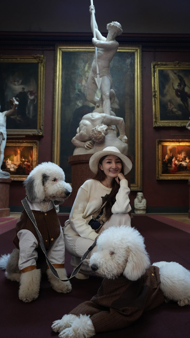 Lord Chestnut