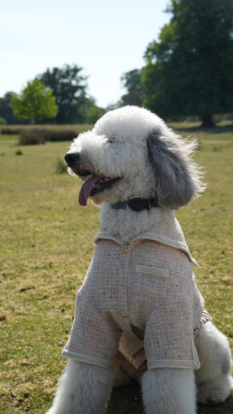 Pétale Tweed