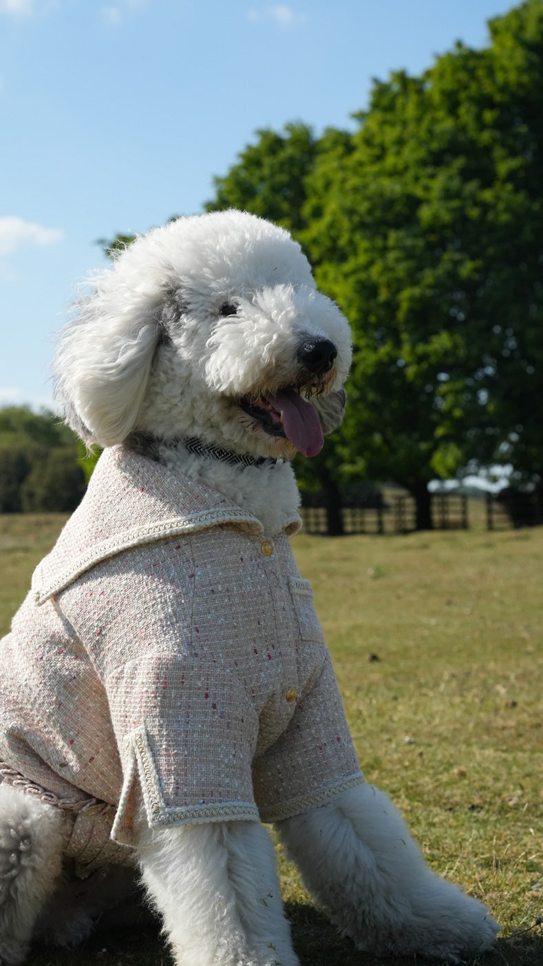 Pétale Tweed