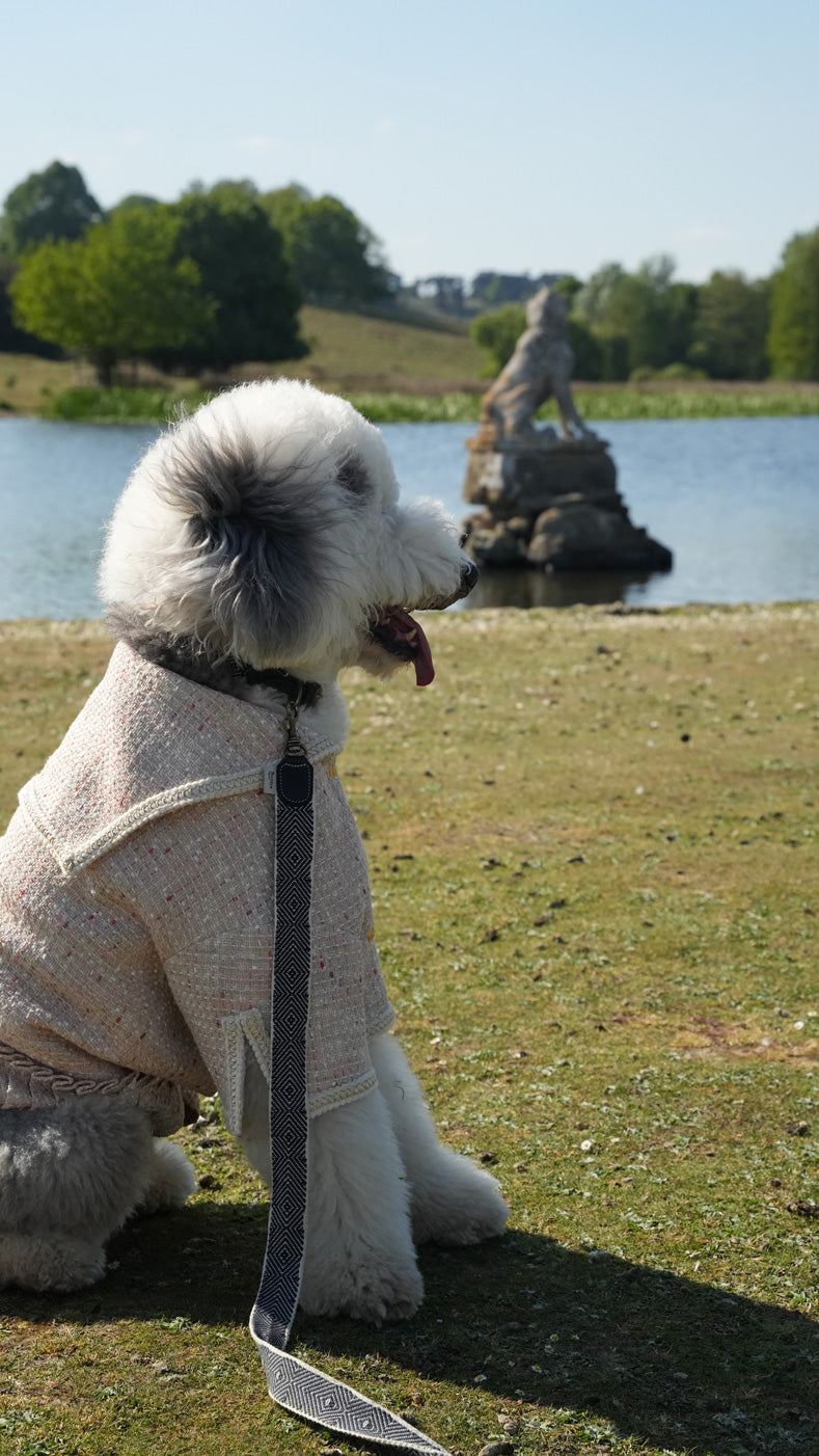 Pétale Tweed