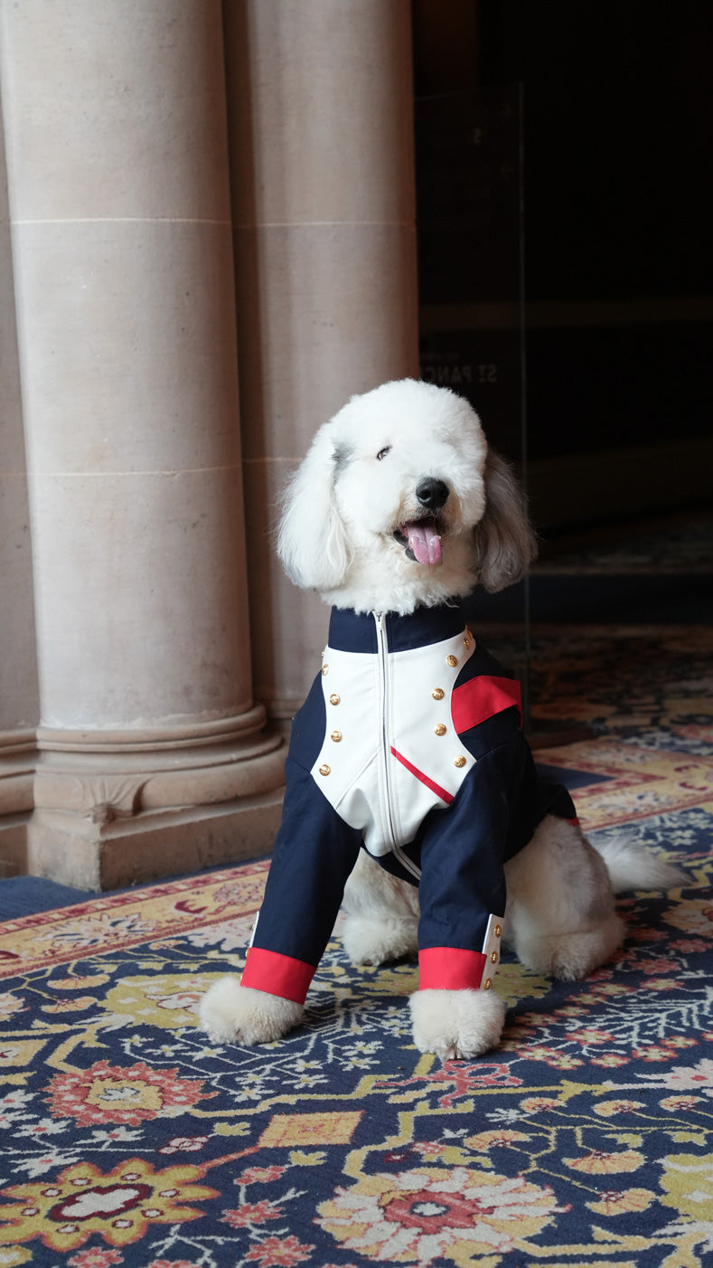 Marshal Woof
