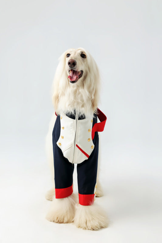 Marshal Woof
