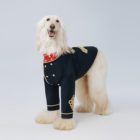 Pompom Hussar